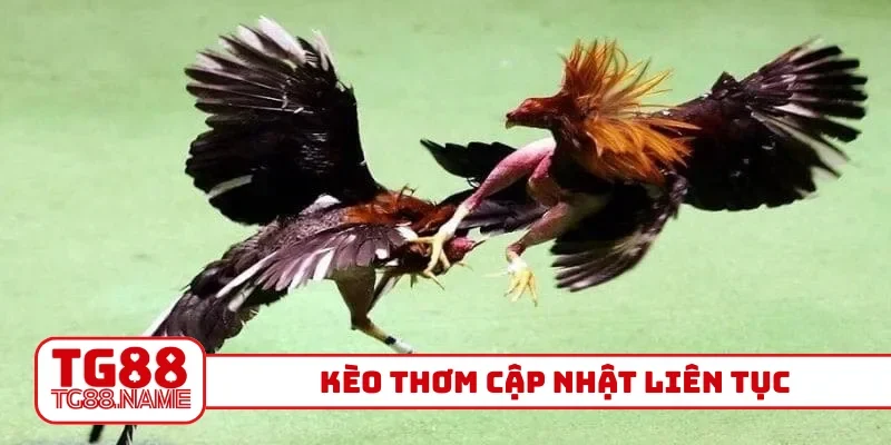 Kèo thơm cập nhật liên tục
